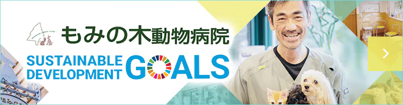 もみの木動物病院